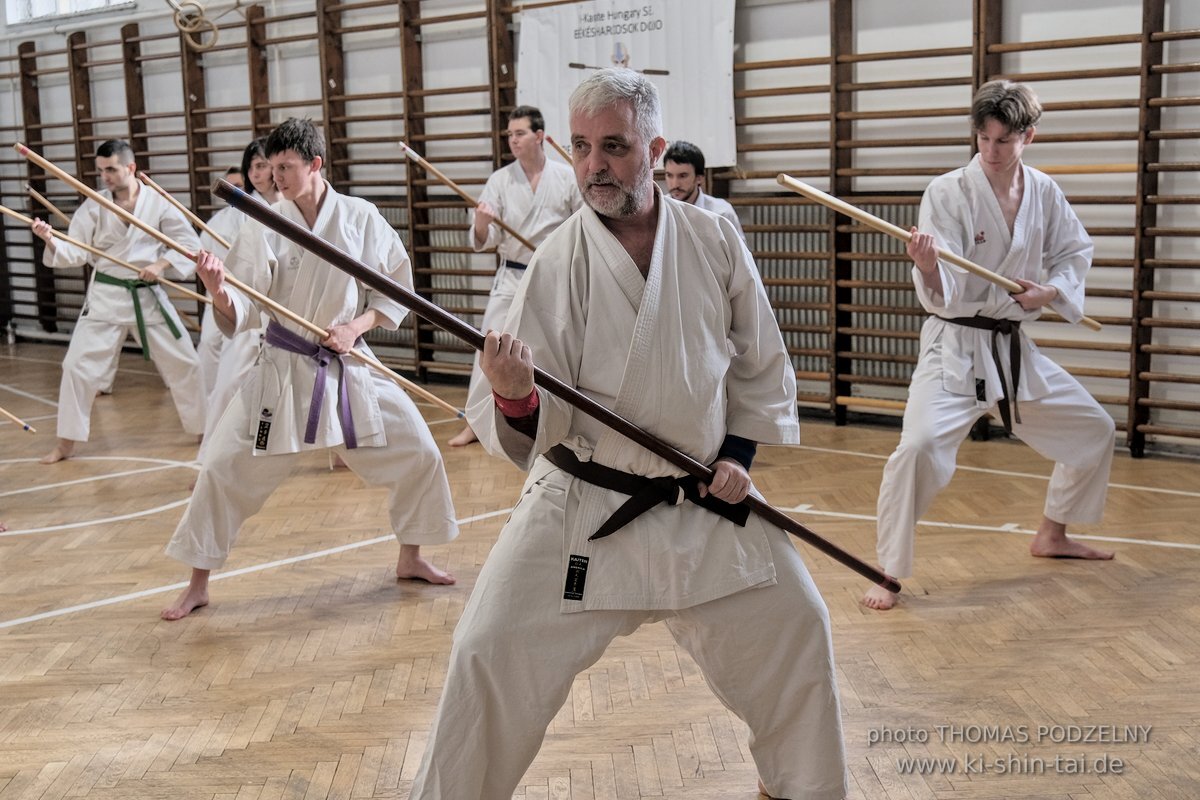 Ryukyu Kobudo Lehrgang Budapest, Thomas Podzelny, Februar 2022