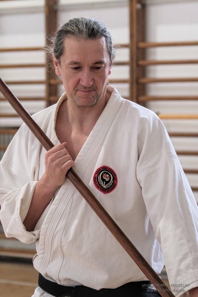 Ryukyu Kobudo Lehrgang Budapest, Thomas Podzelny, Februar 2022