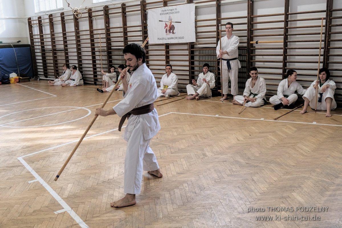 Ryukyu Kobudo Lehrgang Budapest, Thomas Podzelny, Februar 2022