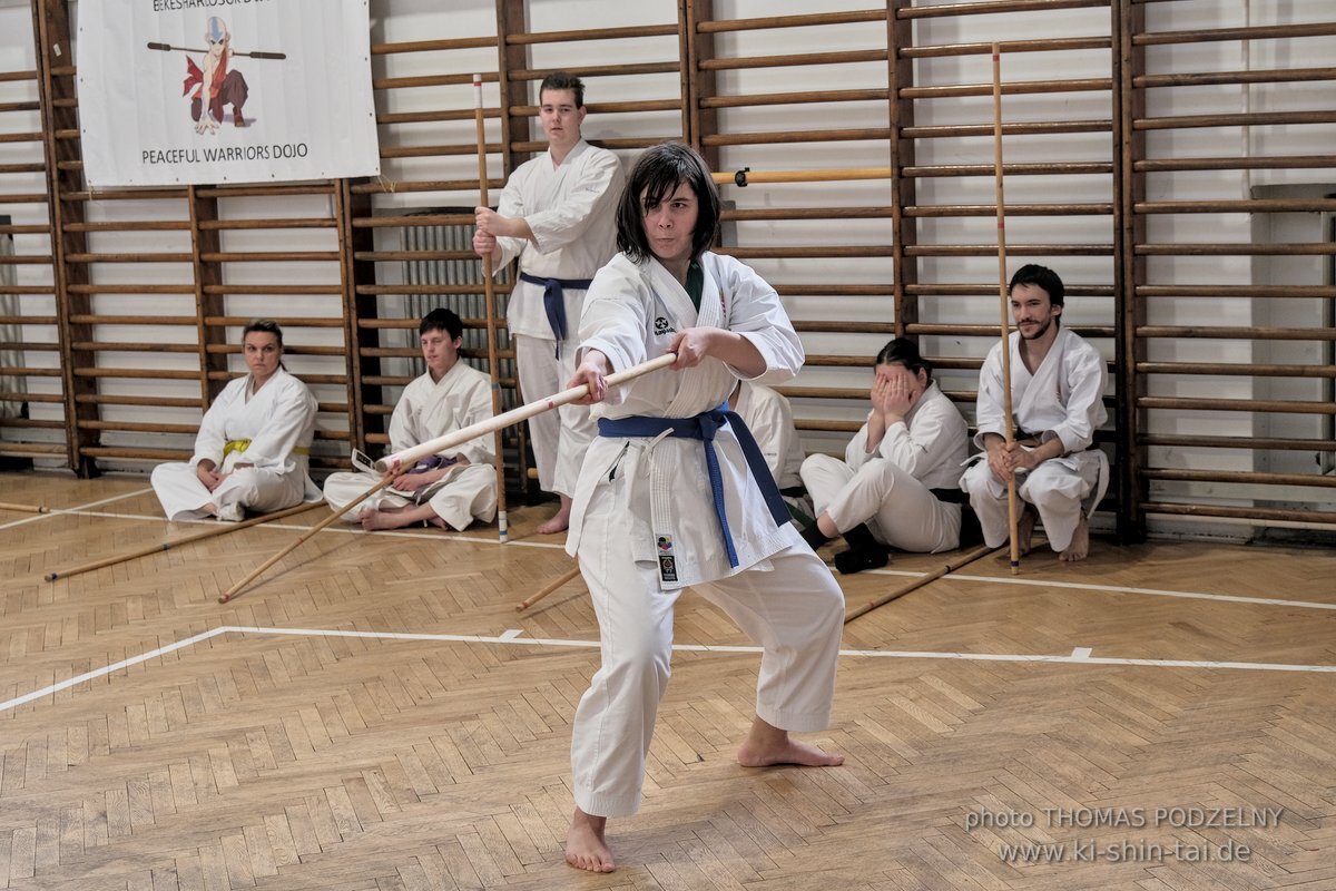 Ryukyu Kobudo Lehrgang Budapest, Thomas Podzelny, Februar 2022