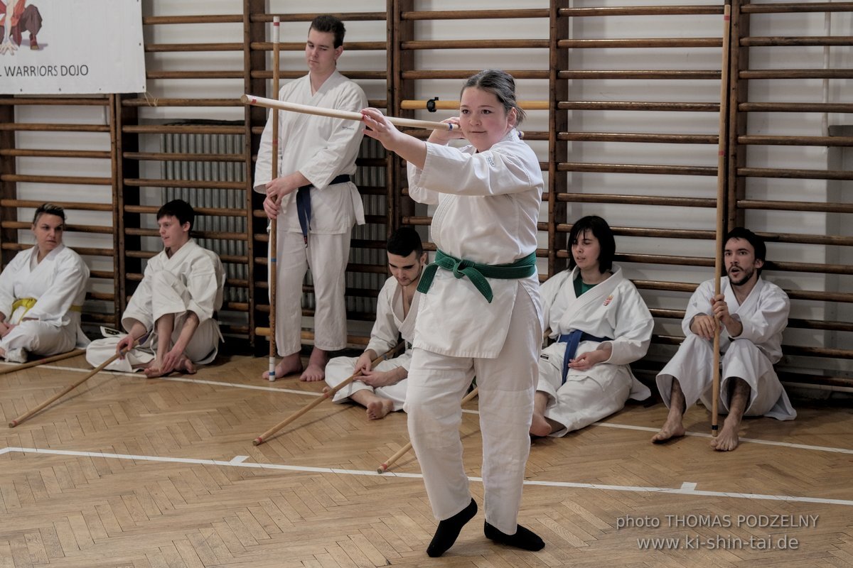 Ryukyu Kobudo Lehrgang Budapest, Thomas Podzelny, Februar 2022