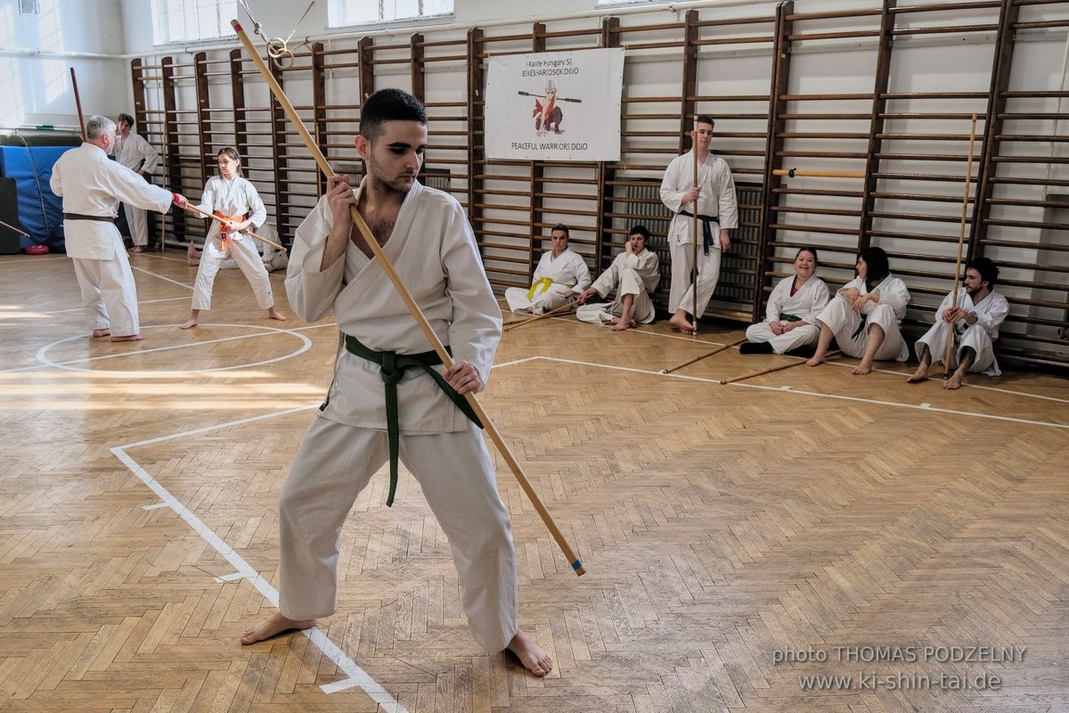 Ryukyu Kobudo Lehrgang Budapest, Thomas Podzelny, Februar 2022