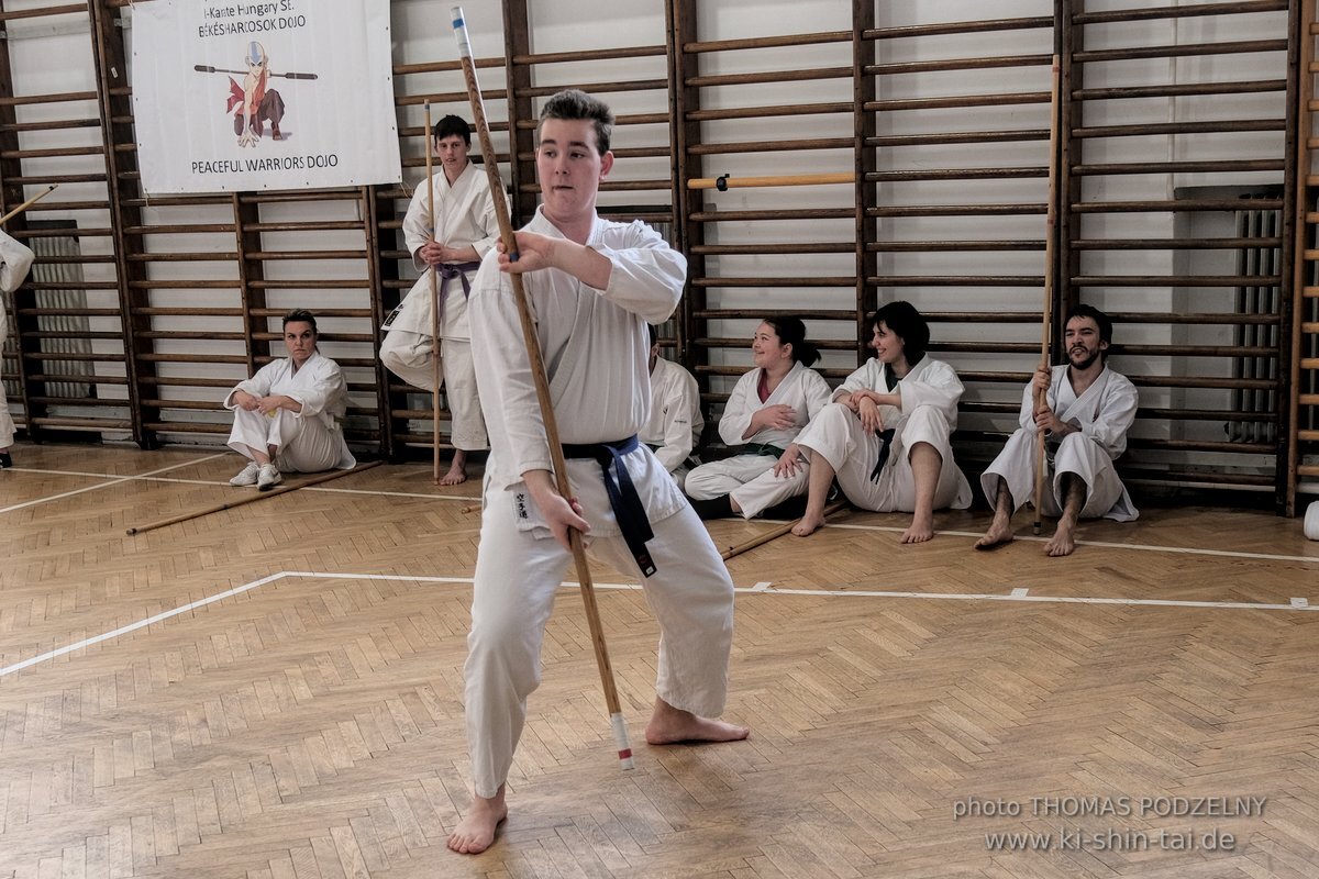 Ryukyu Kobudo Lehrgang Budapest, Thomas Podzelny, Februar 2022