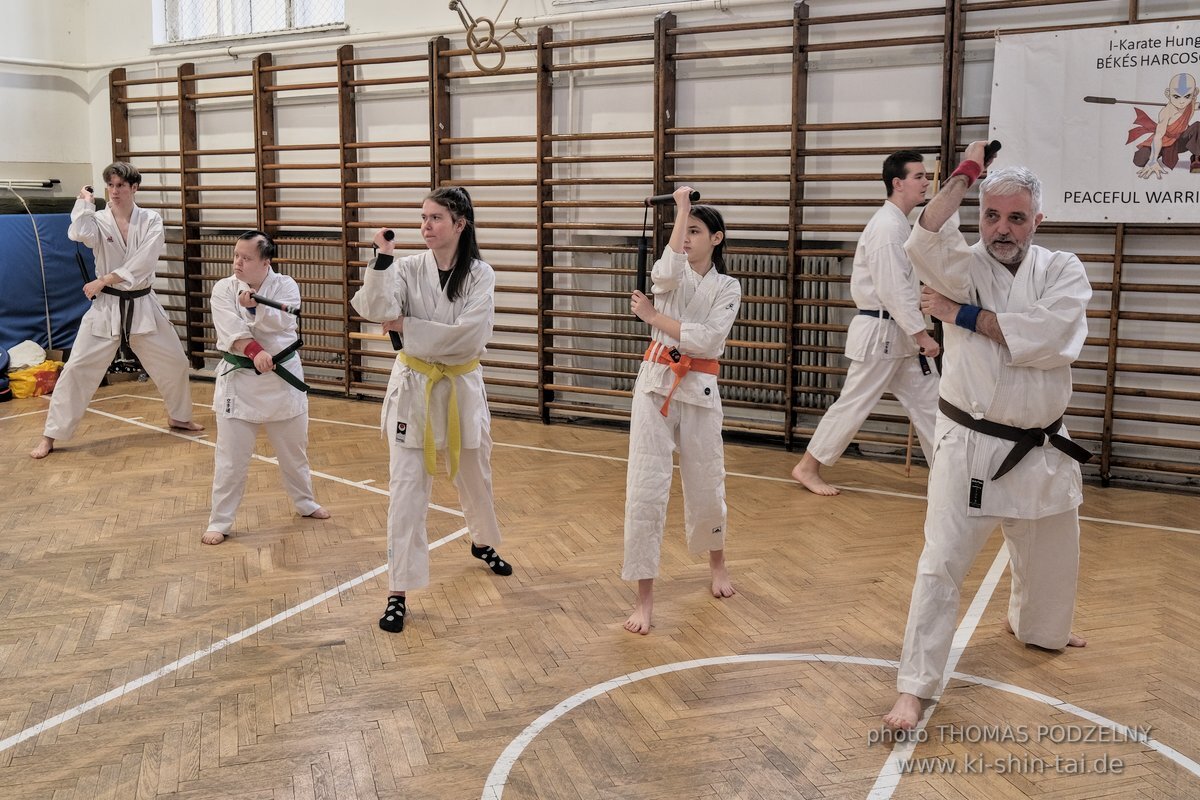 Ryukyu Kobudo Lehrgang Budapest, Thomas Podzelny, Februar 2022