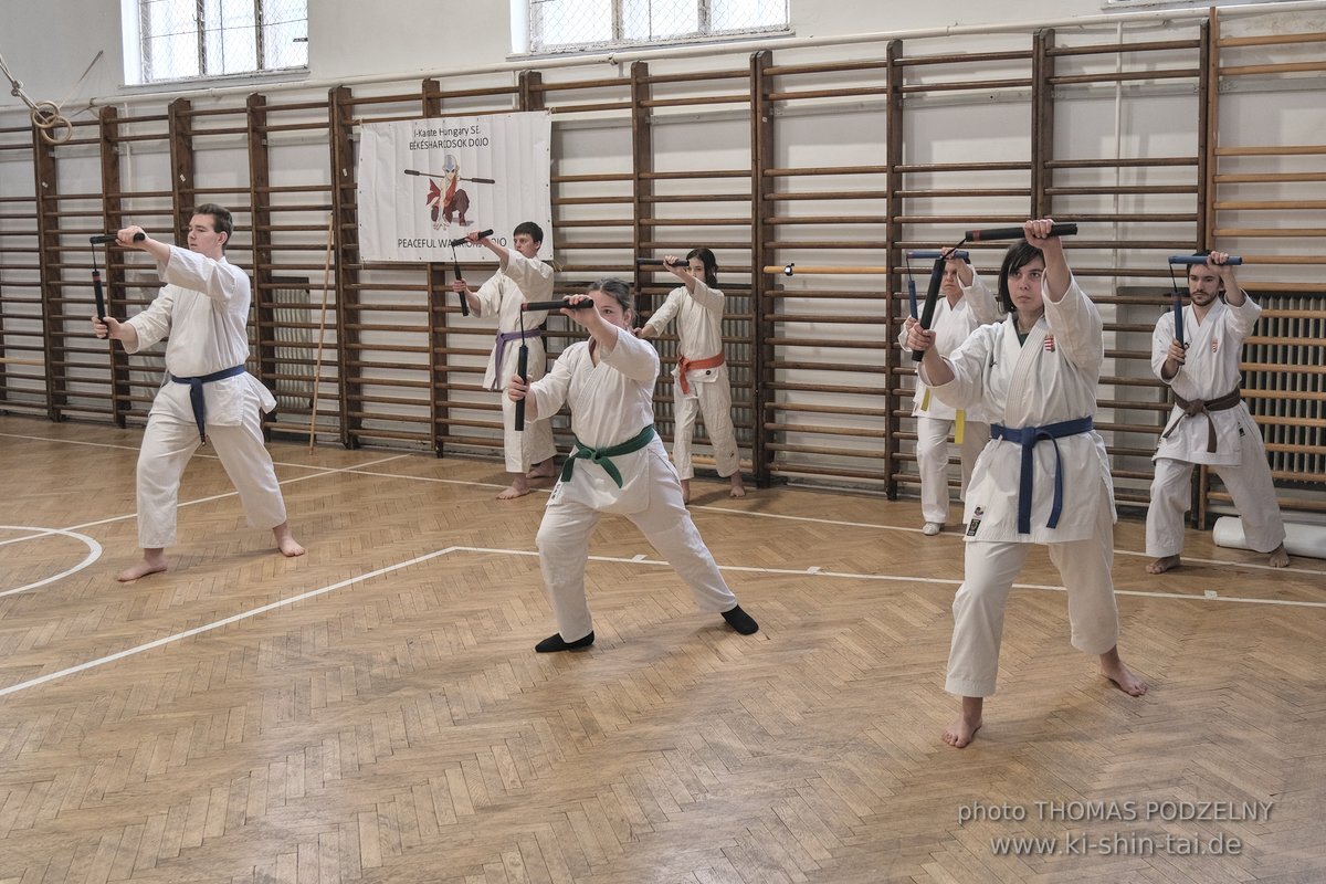 Ryukyu Kobudo Lehrgang Budapest, Thomas Podzelny, Februar 2022