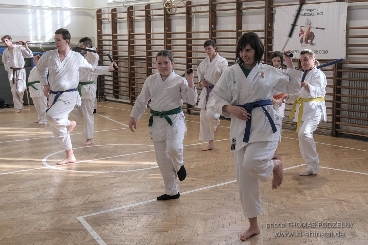 Ryukyu Kobudo Lehrgang Budapest, Thomas Podzelny, Februar 2022