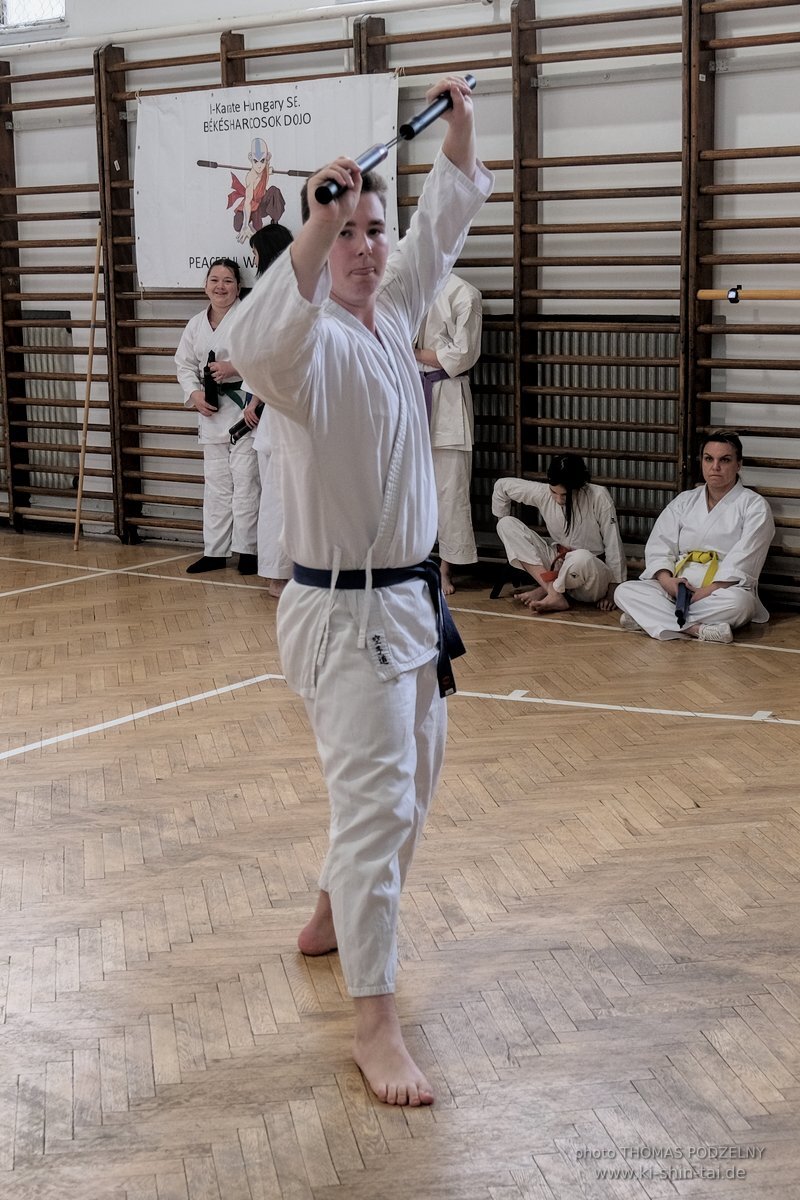 Ryukyu Kobudo Lehrgang Budapest, Thomas Podzelny, Februar 2022