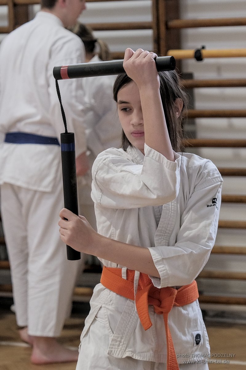 Ryukyu Kobudo Lehrgang Budapest, Thomas Podzelny, Februar 2022