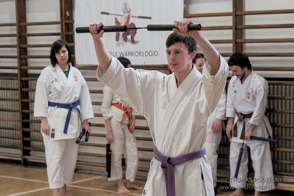 Ryukyu Kobudo Lehrgang Budapest, Thomas Podzelny, Februar 2022