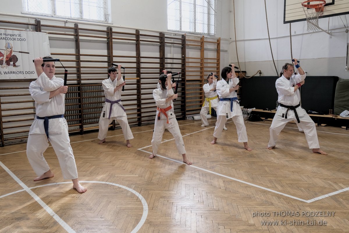 Ryukyu Kobudo Lehrgang Budapest, Thomas Podzelny, Februar 2022