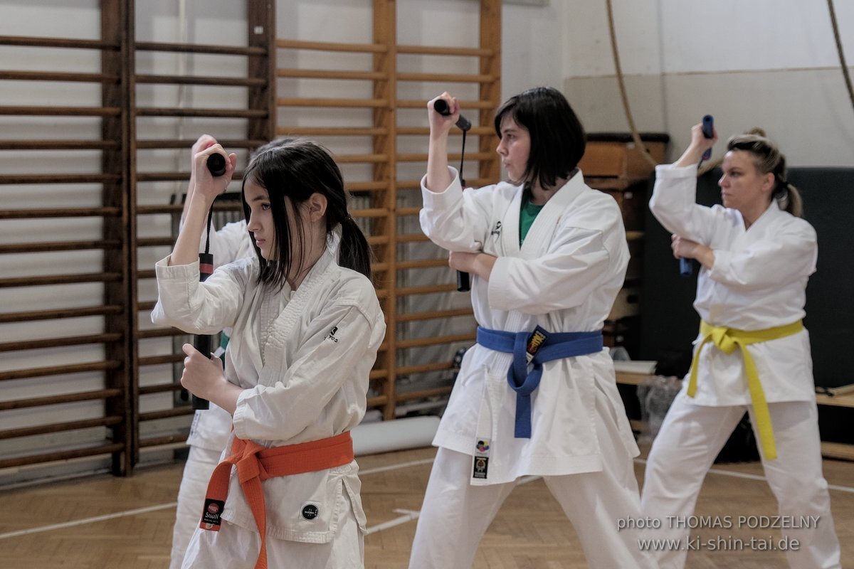 Ryukyu Kobudo Lehrgang Budapest, Thomas Podzelny, Februar 2022