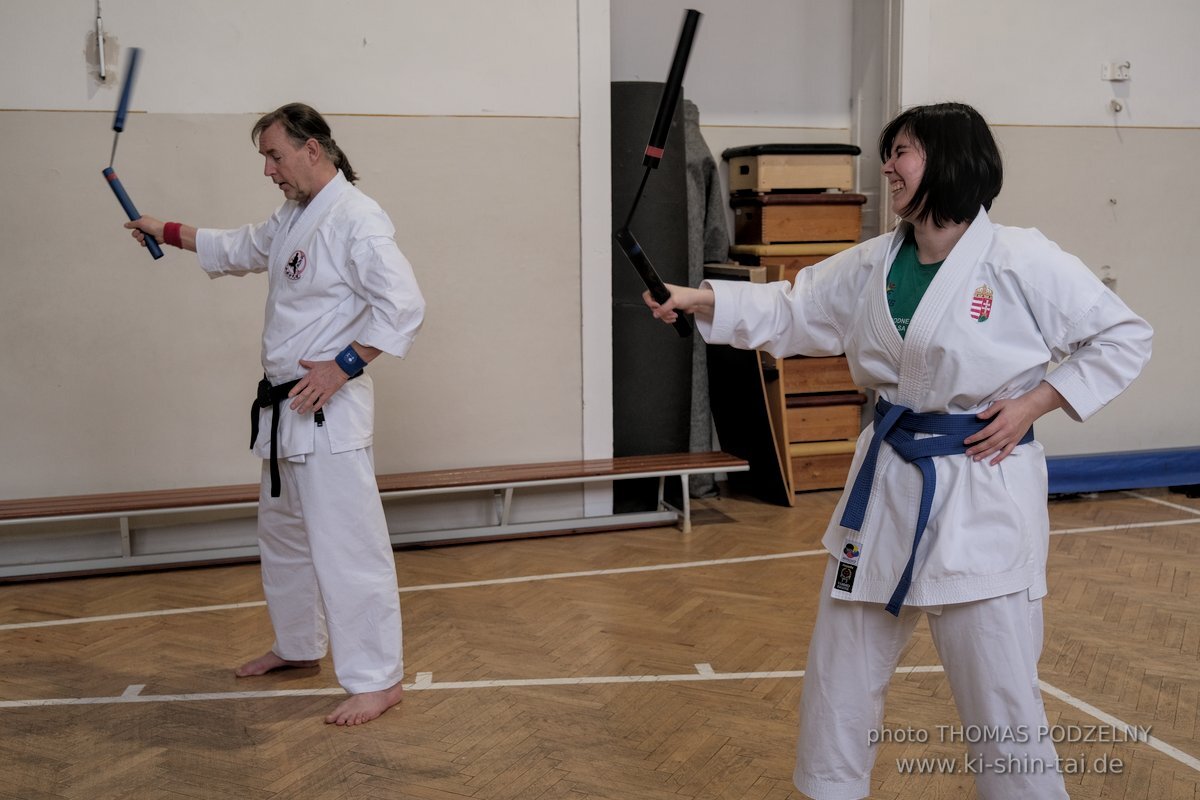 Ryukyu Kobudo Lehrgang Budapest, Thomas Podzelny, Februar 2022