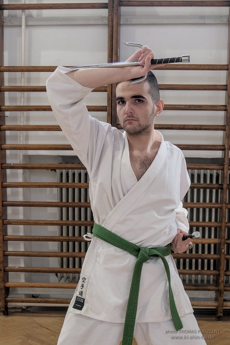 Ryukyu Kobudo Lehrgang Budapest, Thomas Podzelny, Februar 2022