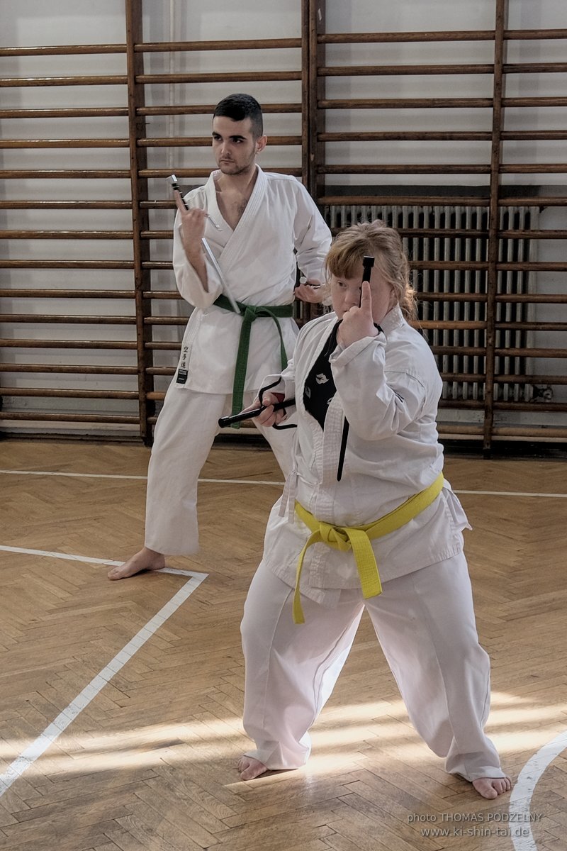 Ryukyu Kobudo Lehrgang Budapest, Thomas Podzelny, Februar 2022