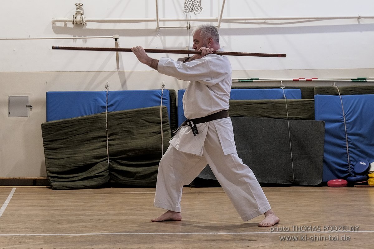 Ryukyu Kobudo Lehrgang Budapest, Thomas Podzelny, Februar 2022