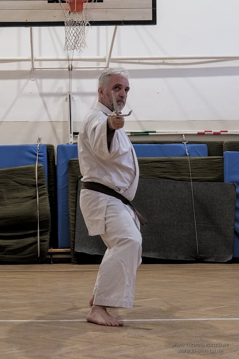 Ryukyu Kobudo Lehrgang Budapest, Thomas Podzelny, Februar 2022