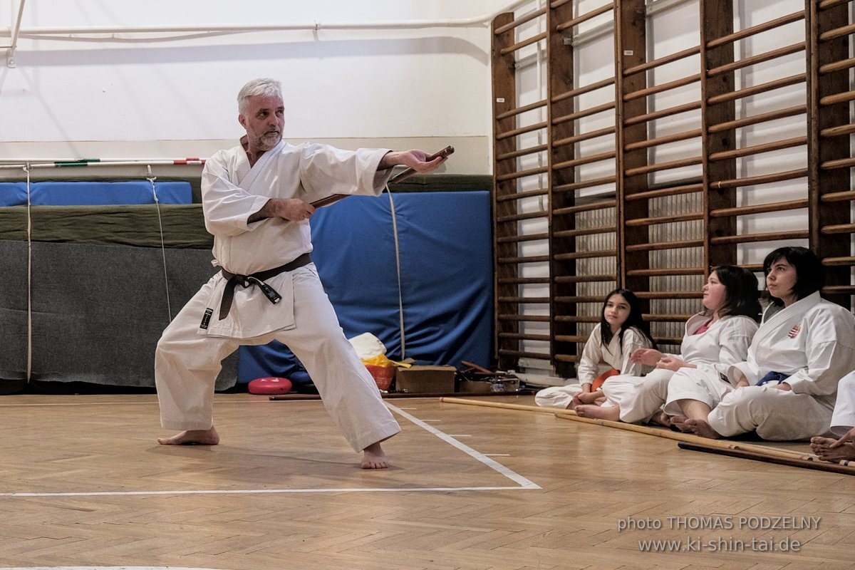 Ryukyu Kobudo Lehrgang Budapest, Thomas Podzelny, Februar 2022