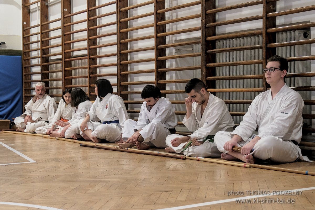 Ryukyu Kobudo Lehrgang Budapest, Thomas Podzelny, Februar 2022