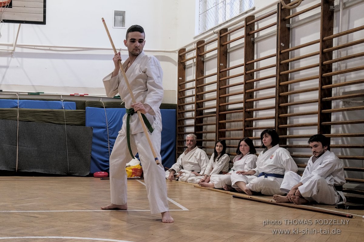 Ryukyu Kobudo Lehrgang Budapest, Thomas Podzelny, Februar 2022