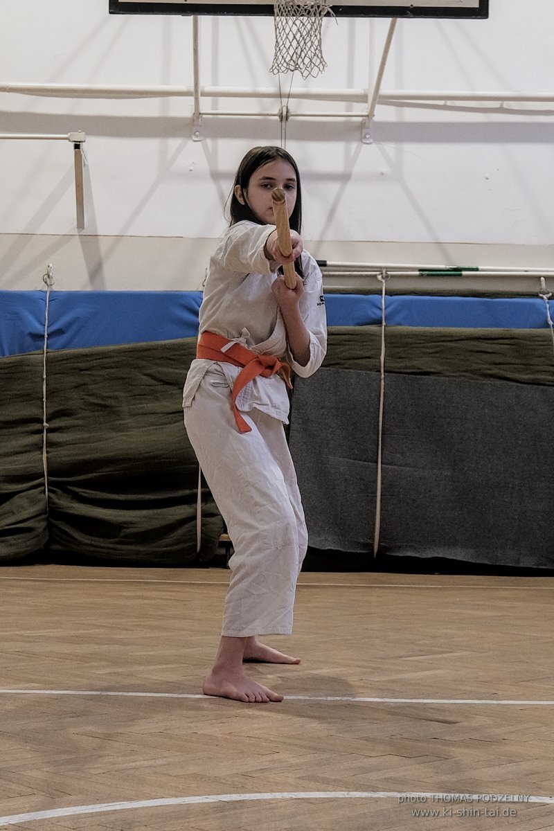 Ryukyu Kobudo Lehrgang Budapest, Thomas Podzelny, Februar 2022