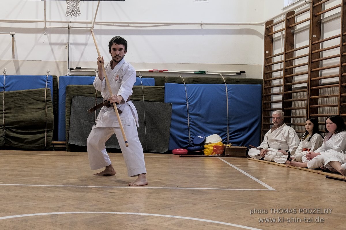 Ryukyu Kobudo Lehrgang Budapest, Thomas Podzelny, Februar 2022