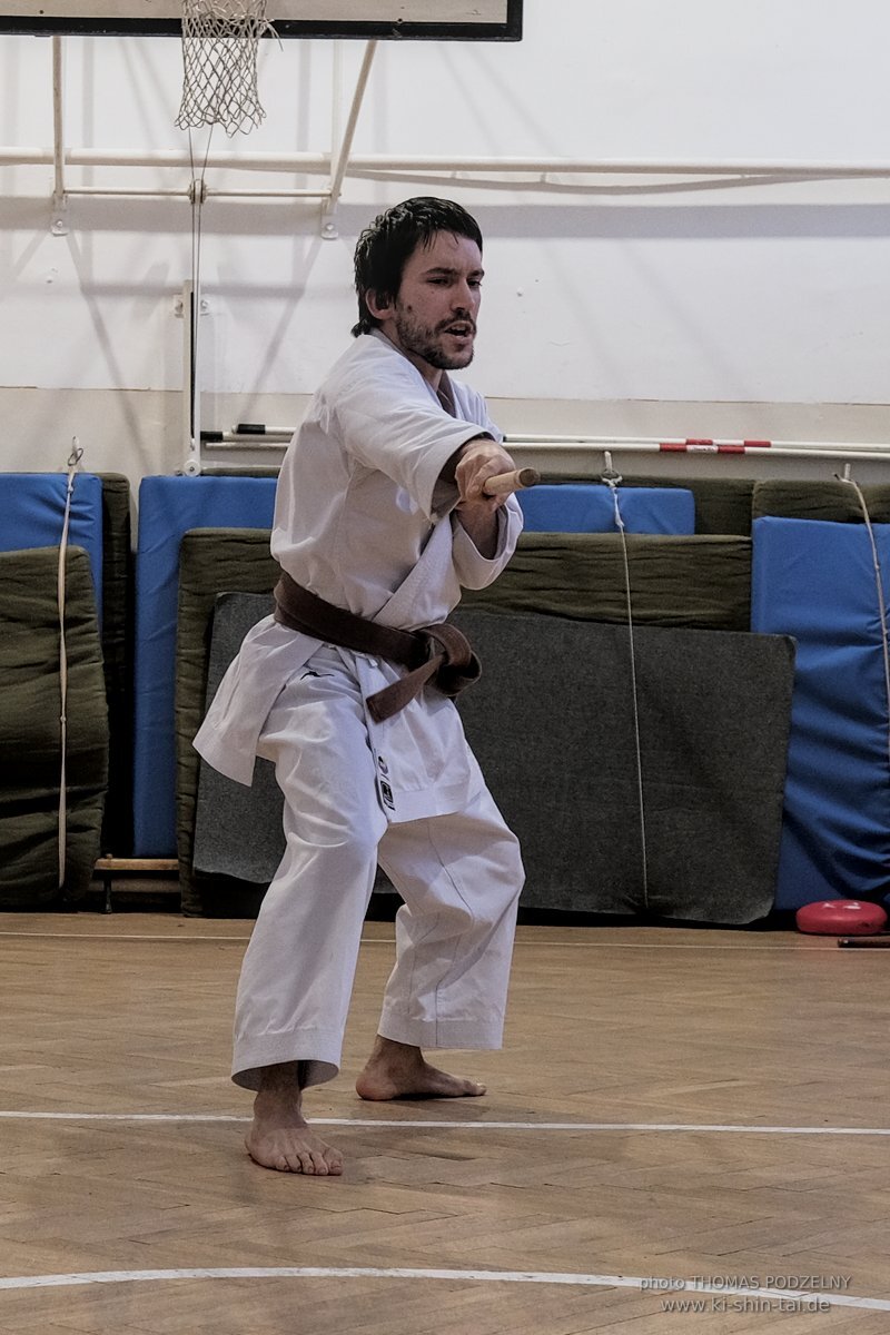 Ryukyu Kobudo Lehrgang Budapest, Thomas Podzelny, Februar 2022