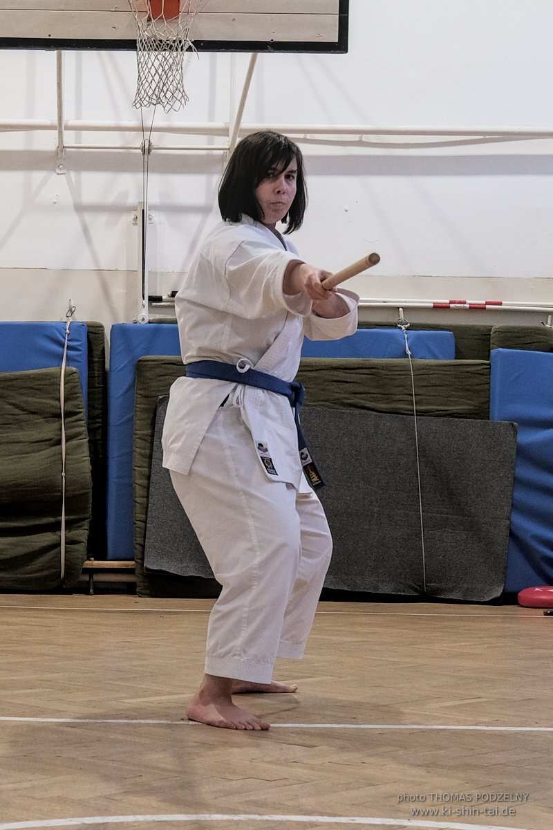 Ryukyu Kobudo Lehrgang Budapest, Thomas Podzelny, Februar 2022