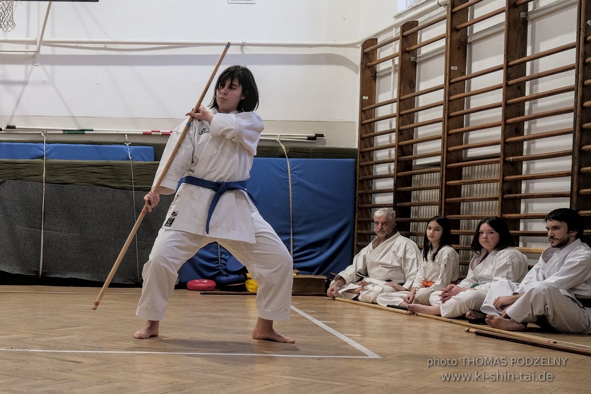 Ryukyu Kobudo Lehrgang Budapest, Thomas Podzelny, Februar 2022