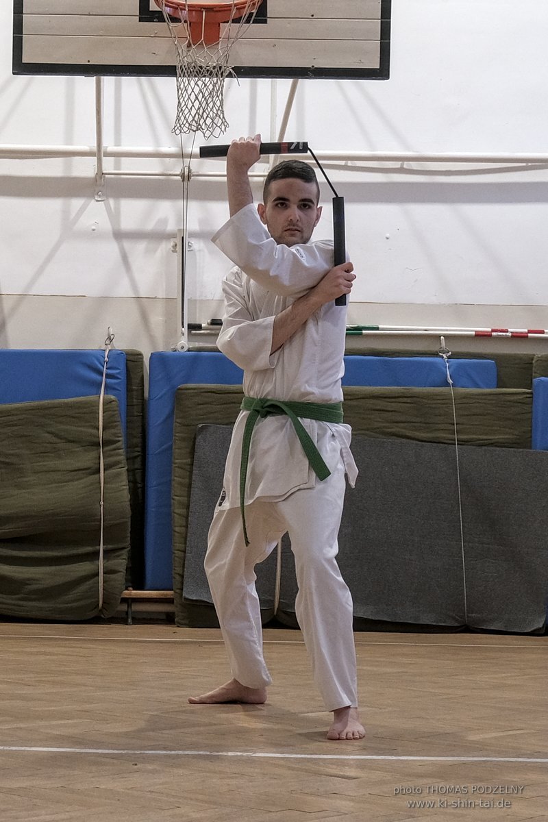 Ryukyu Kobudo Lehrgang Budapest, Thomas Podzelny, Februar 2022