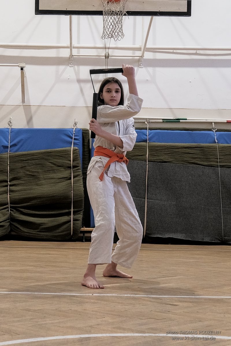 Ryukyu Kobudo Lehrgang Budapest, Thomas Podzelny, Februar 2022