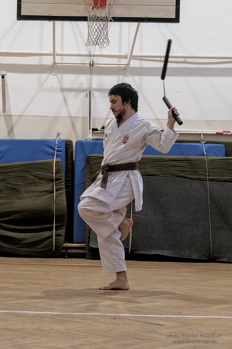 Ryukyu Kobudo Lehrgang Budapest, Thomas Podzelny, Februar 2022