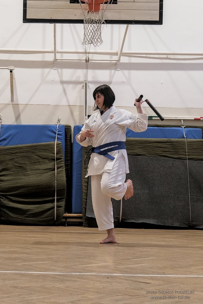 Ryukyu Kobudo Lehrgang Budapest, Thomas Podzelny, Februar 2022