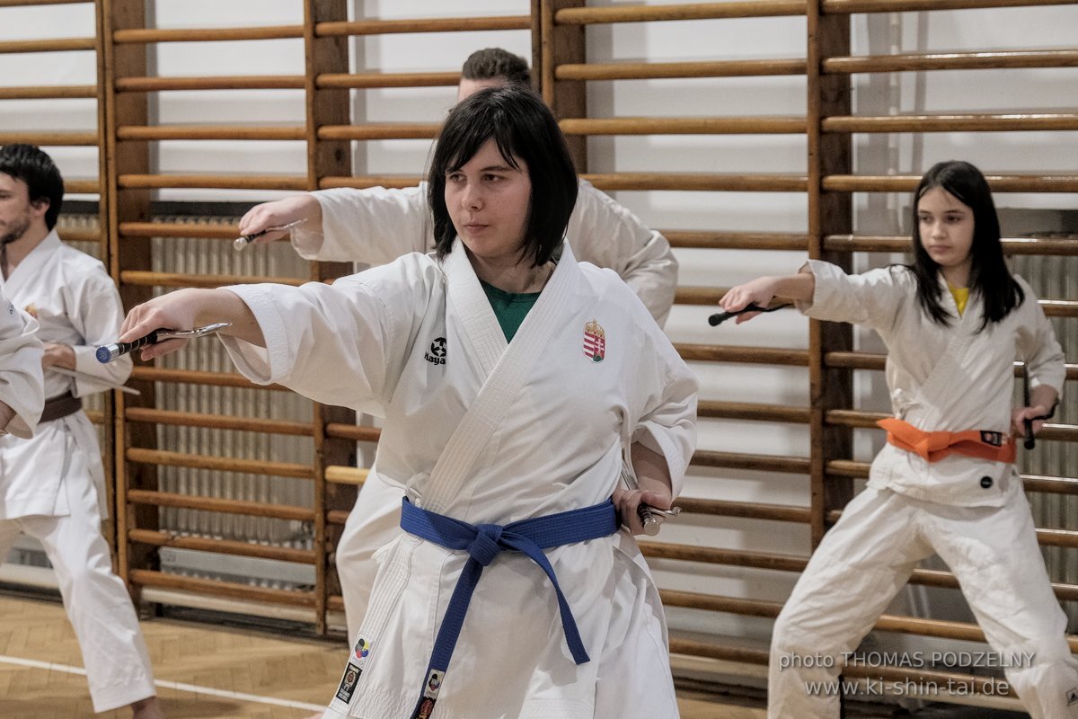 Ryukyu Kobudo Lehrgang Budapest, Thomas Podzelny, Februar 2022