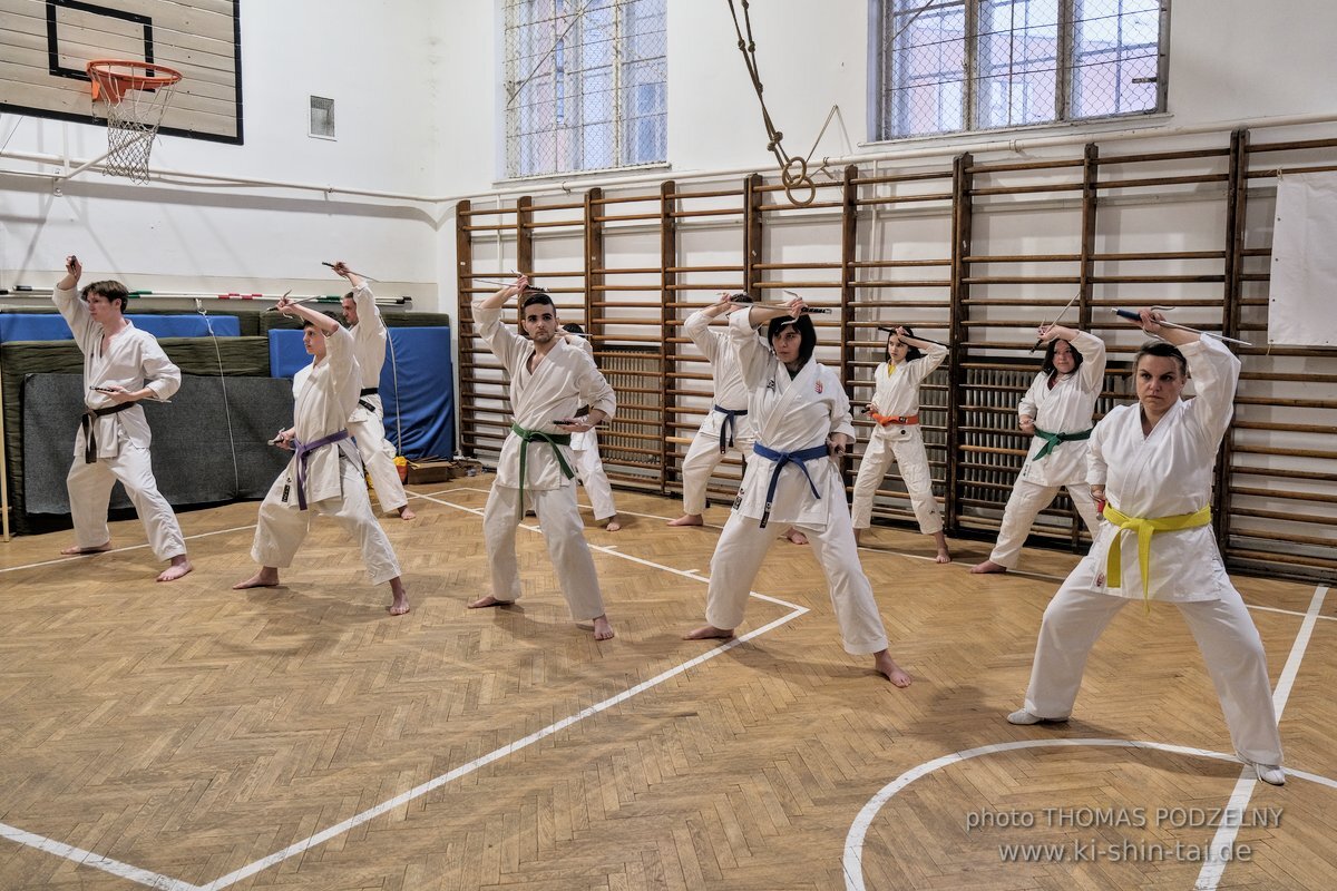 Ryukyu Kobudo Lehrgang Budapest, Thomas Podzelny, Februar 2022