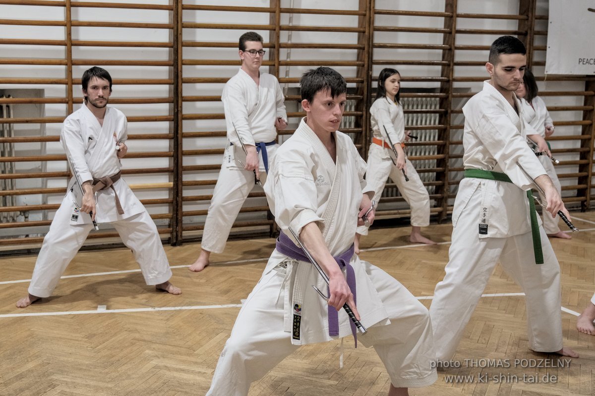 Ryukyu Kobudo Lehrgang Budapest, Thomas Podzelny, Februar 2022