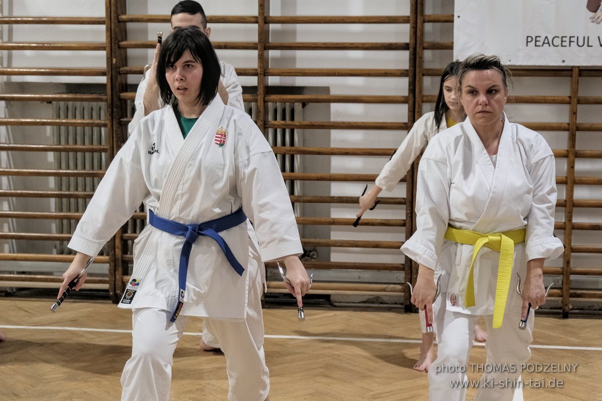 Ryukyu Kobudo Lehrgang Budapest, Thomas Podzelny, Februar 2022