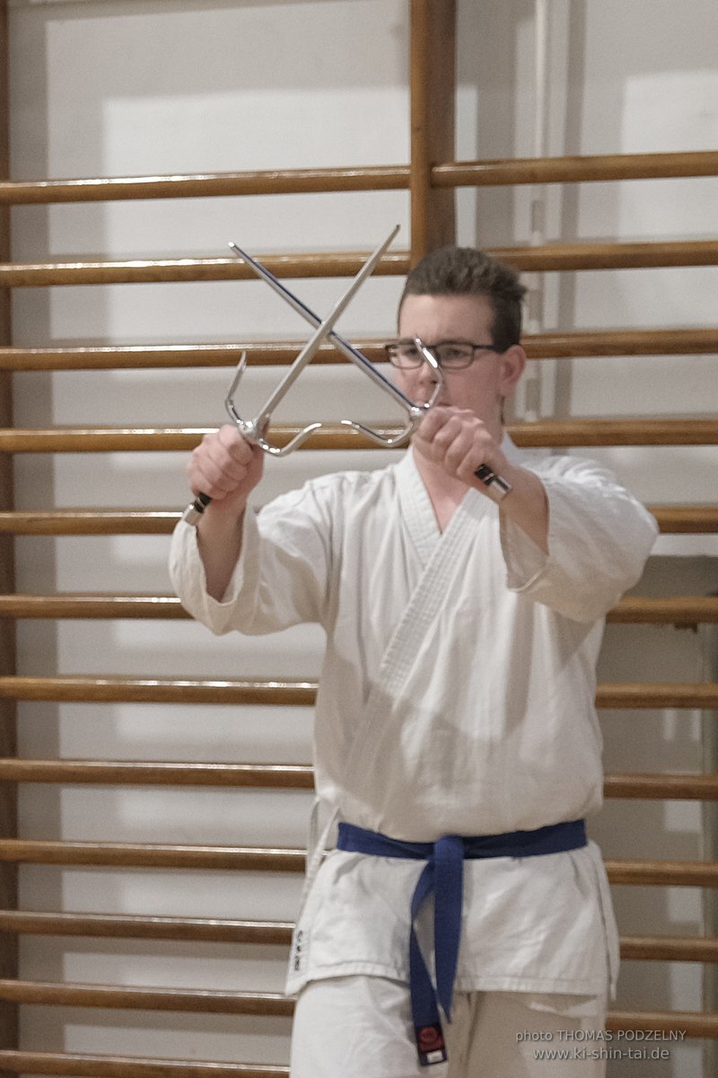 Ryukyu Kobudo Lehrgang Budapest, Thomas Podzelny, Februar 2022