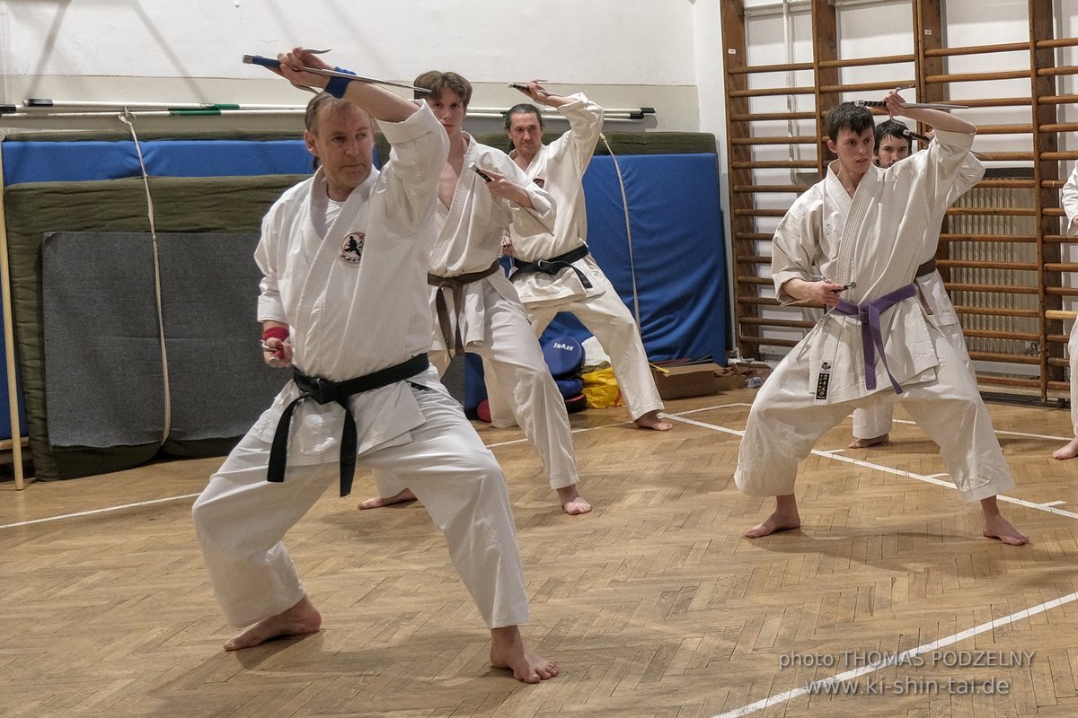 Ryukyu Kobudo Lehrgang Budapest, Thomas Podzelny, Februar 2022