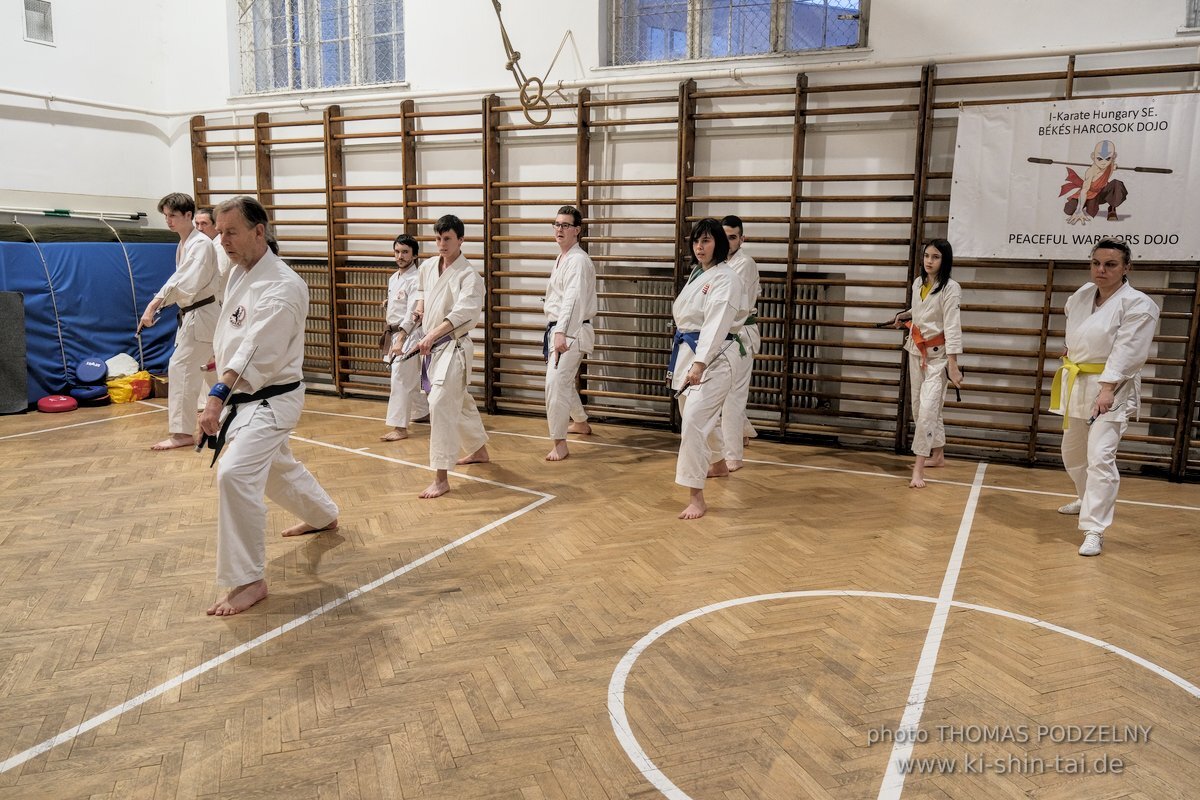 Ryukyu Kobudo Lehrgang Budapest, Thomas Podzelny, Februar 2022