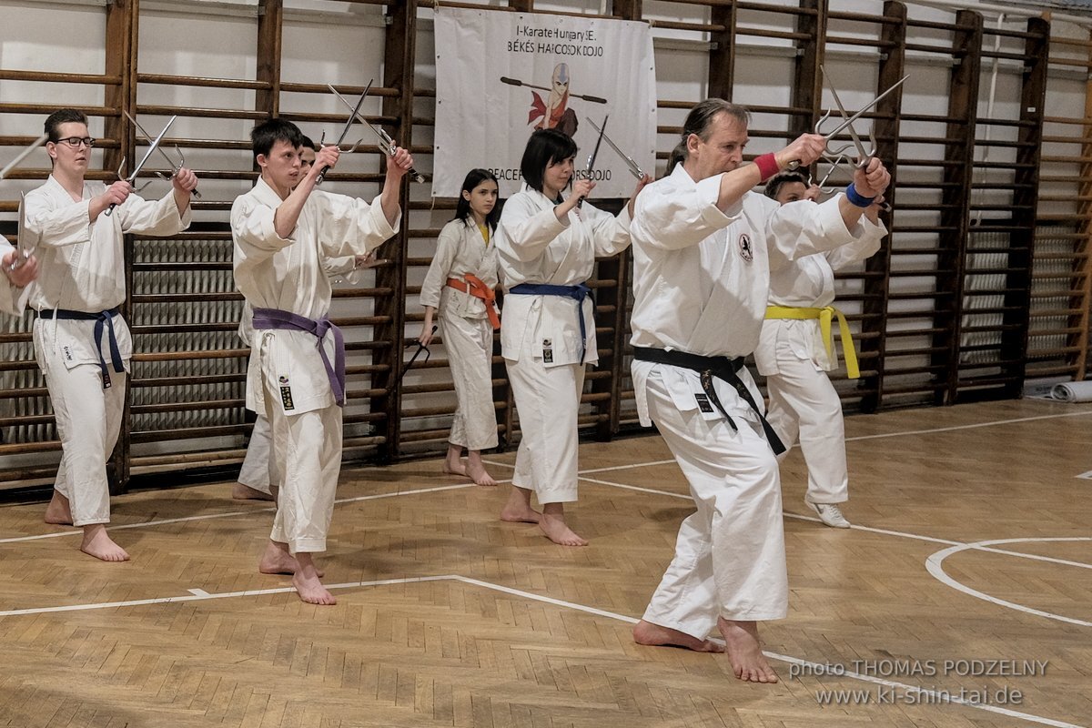 Ryukyu Kobudo Lehrgang Budapest, Thomas Podzelny, Februar 2022