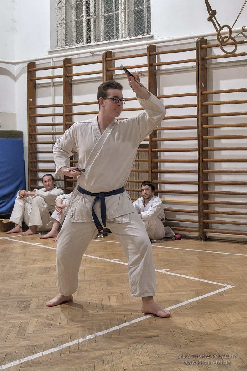 Ryukyu Kobudo Lehrgang Budapest, Thomas Podzelny, Februar 2022