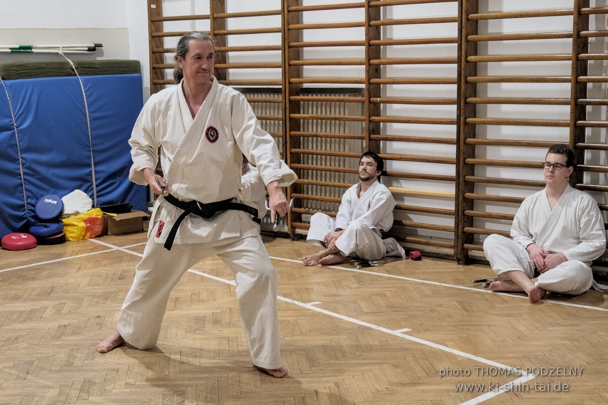 Ryukyu Kobudo Lehrgang Budapest, Thomas Podzelny, Februar 2022