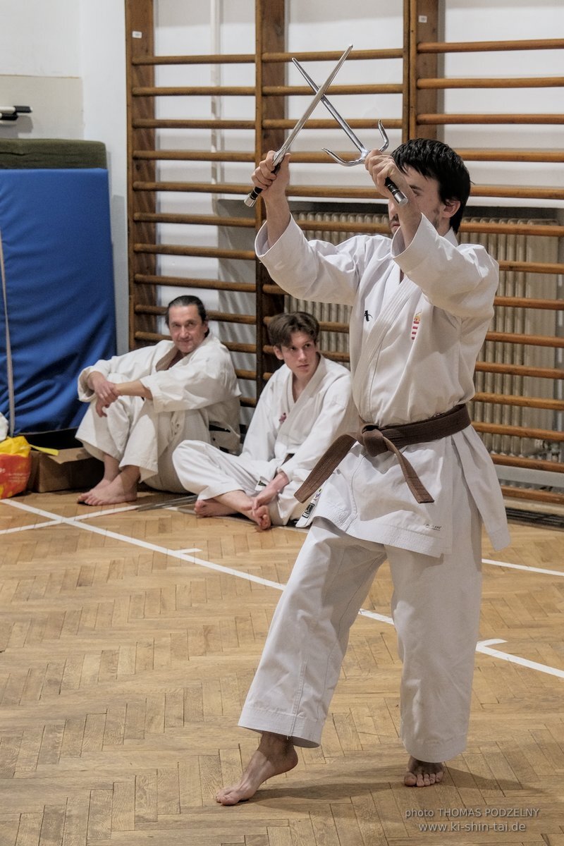 Ryukyu Kobudo Lehrgang Budapest, Thomas Podzelny, Februar 2022