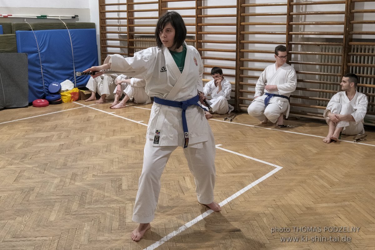 Ryukyu Kobudo Lehrgang Budapest, Thomas Podzelny, Februar 2022