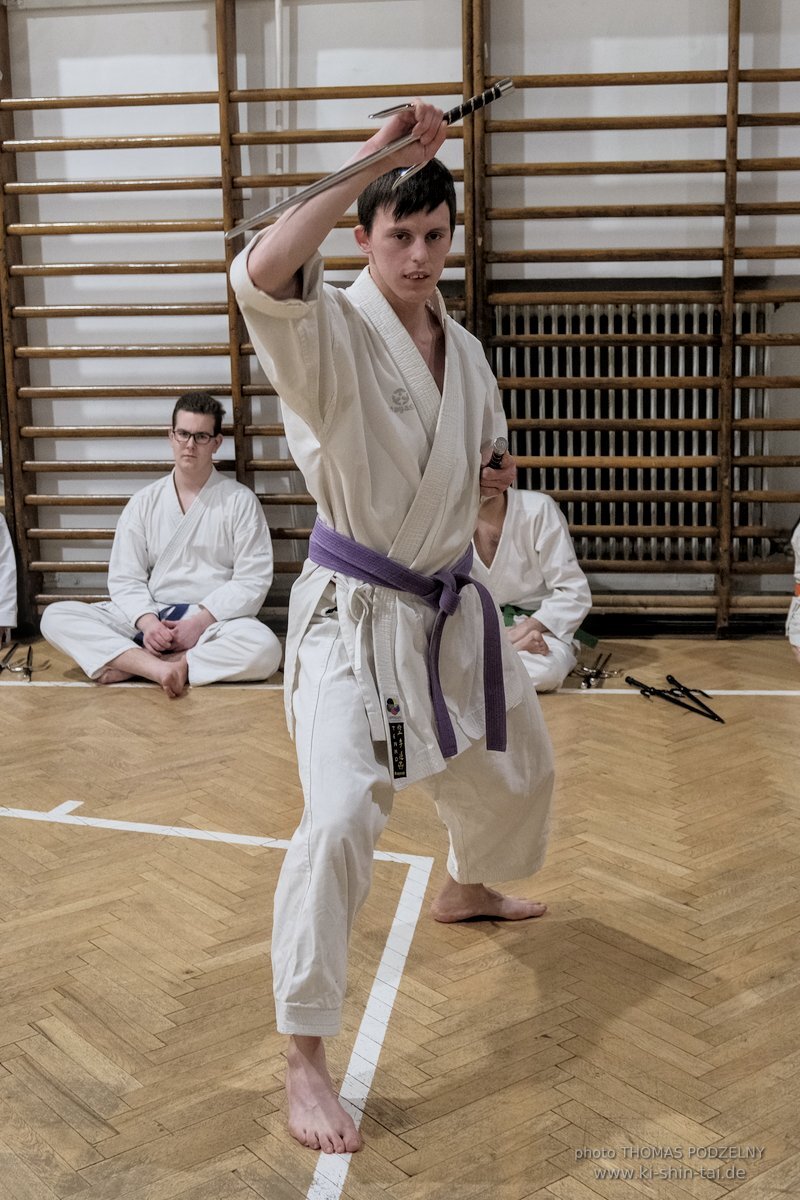 Ryukyu Kobudo Lehrgang Budapest, Thomas Podzelny, Februar 2022