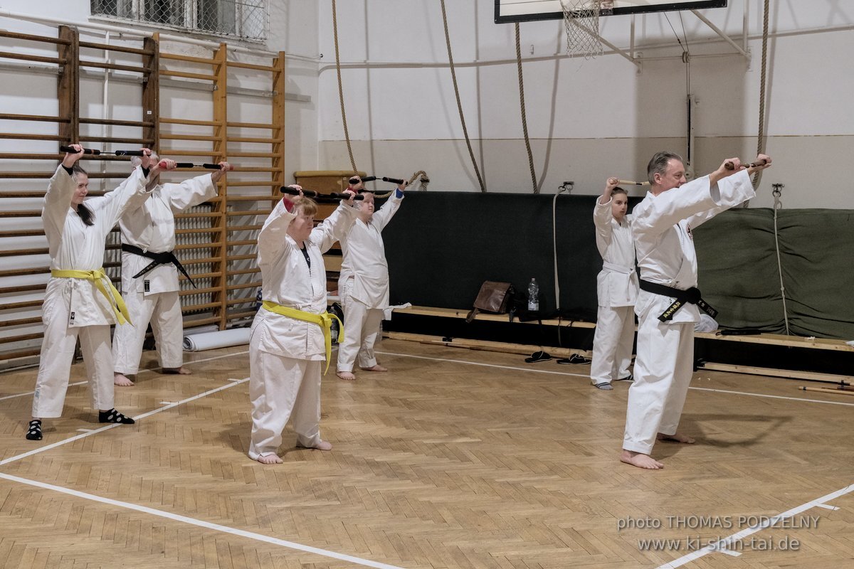 Ryukyu Kobudo Lehrgang Budapest, Thomas Podzelny, Februar 2022