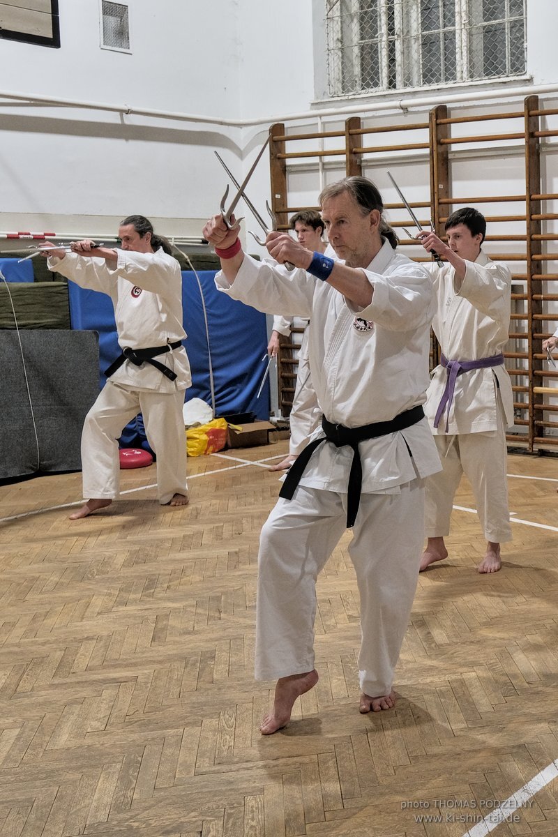 Ryukyu Kobudo Lehrgang Budapest, Thomas Podzelny, Februar 2022