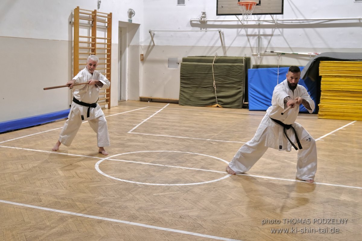 Inklusiver Ryukyu Kobudo Lehrgang mit Thomas Podzelny 6.Dan in Budapest 9.-11.2.2024