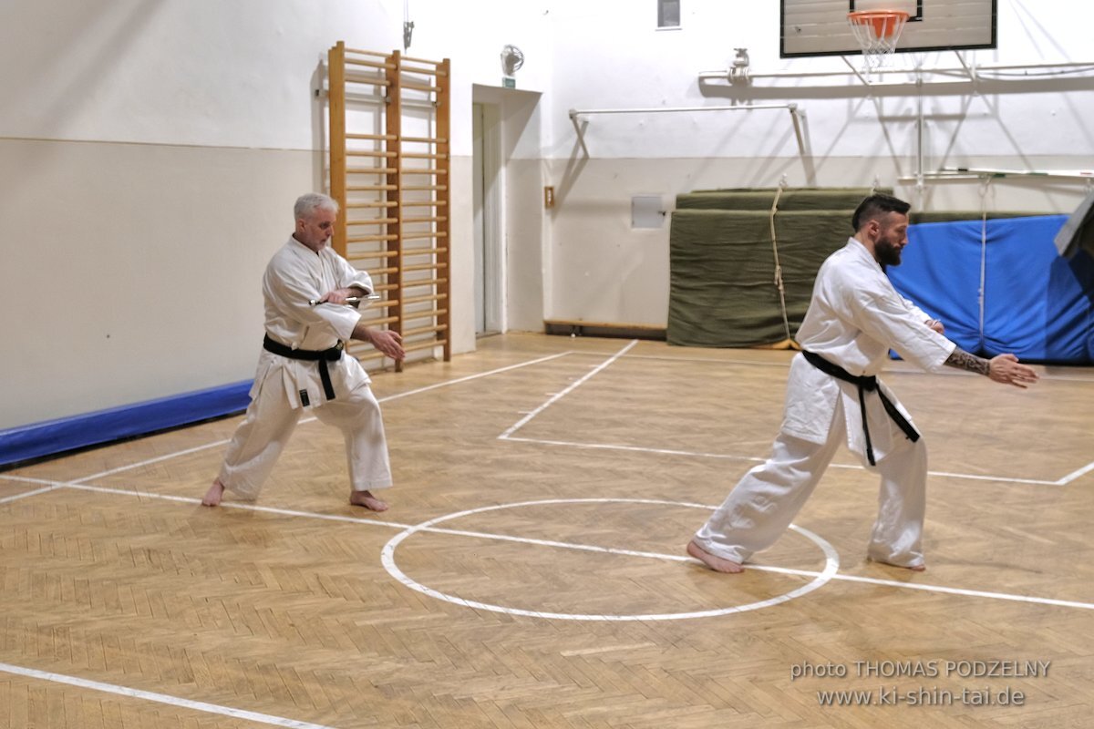 Inklusiver Ryukyu Kobudo Lehrgang mit Thomas Podzelny 6.Dan in Budapest 9.-11.2.2024