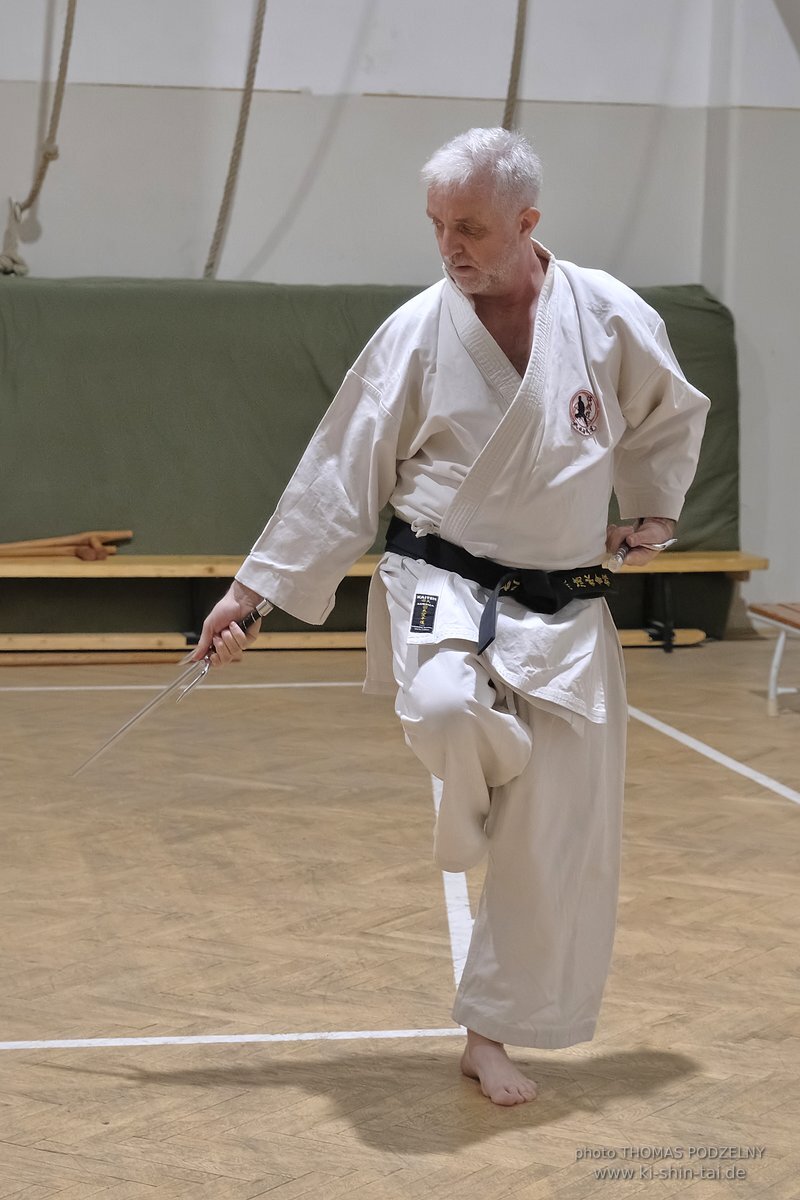 Inklusiver Ryukyu Kobudo Lehrgang mit Thomas Podzelny 6.Dan in Budapest 9.-11.2.2024